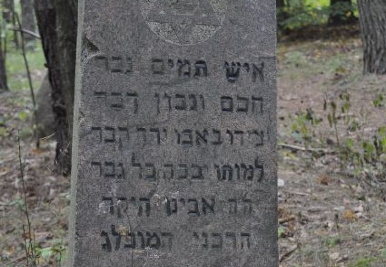 Cmentarz żydowski w Narewce 2