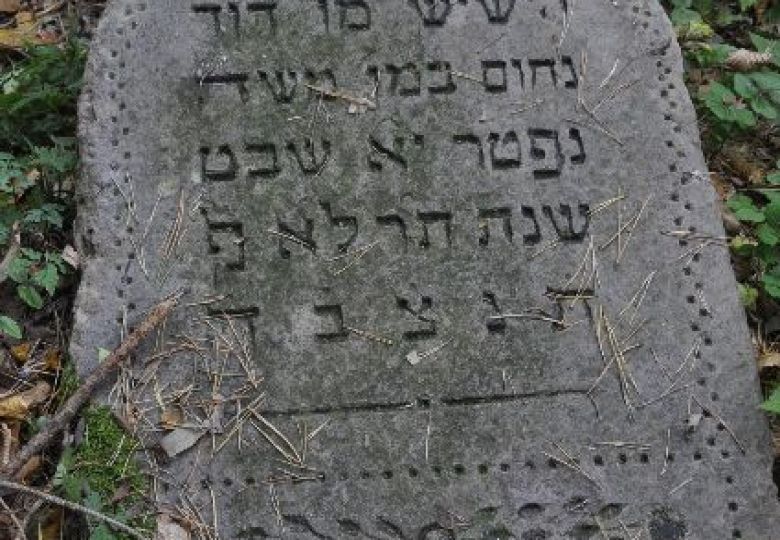 Cmentarz żydowski w Narewce 1